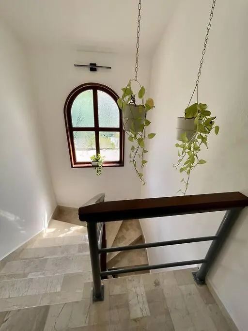 Beautiful Jungle House On A Strategic Location Villa Cancún 0*,